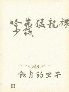 哈弗猛龙裸车多少钱