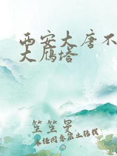 西安大唐不夜城大雁塔