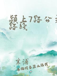 颍上7路公交车路线