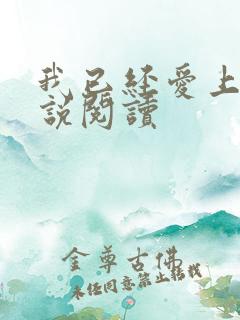 我已经爱上你小说阅读