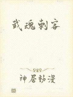 武魂刺客