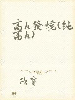 高h发烧(纯肉高h)