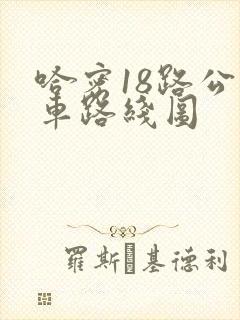 哈密18路公交车路线图