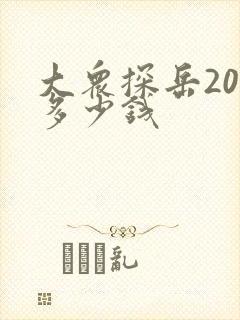大众探岳20t多少钱