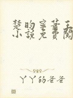 楚昀宁萧王穿越小说免费阅读无弹窗 楚昀宁萧王穿越小说免费阅读无弹窗