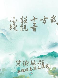 小说十方武神在线观看