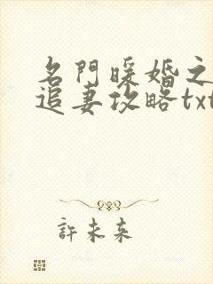名门暖婚之权爷追妻攻略txt免费下载