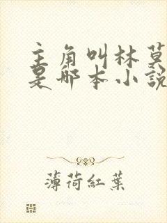 主角叫林莫的人是哪本小说