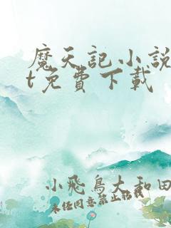 魔天记小说txt免费下载