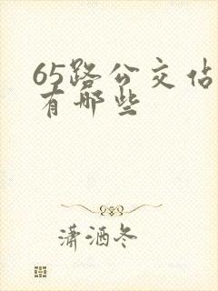 65路公交站点有哪些