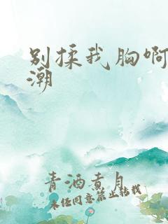 别揉我胸啊嗯高潮