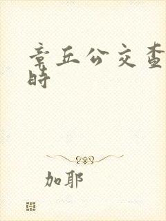 章丘公交查询实时