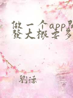 做一个app开发大概要多少钱