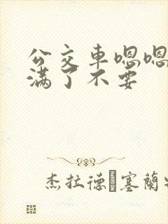 公交车嗯嗯啊啊满了不要