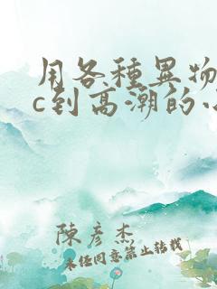 用各种异物把她c到高潮的小说小说
