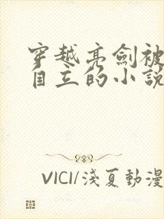 穿越亮剑被怀疑自立的小说 穿越亮剑被怀疑自立的小说