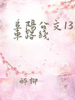 阜阳公交13路车路线