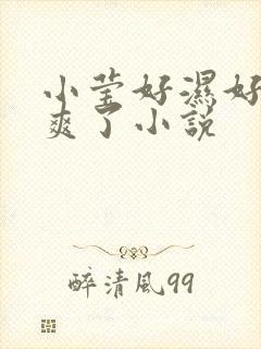 小莹好湿好紧太爽了小说