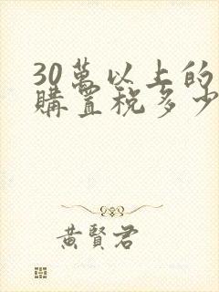 30万以上的车购置税多少