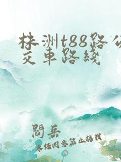 株洲t88路公交车路线 株洲t88路公交车路线