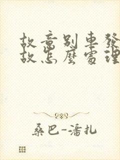 故意别车发生事故怎么处理