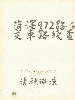 菏泽972路公交车路线查询表