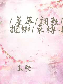 /羞辱/调教/捆绑/束缚小说