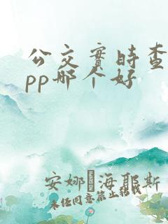 公交实时查询app哪个好