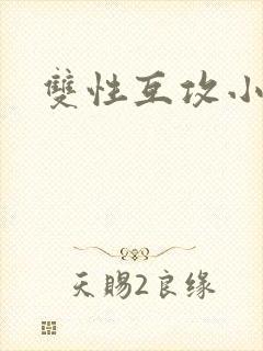 双性互攻小说