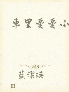 车里爱爱小说