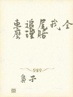 车追尾我全责怎么理赔