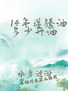 14年迈腾油箱多少升油 14年迈腾油箱多少升油