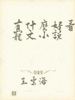 有什么好看的甜宠文小说
