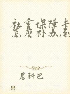 社会保障卡丢失怎么补办,到哪里办