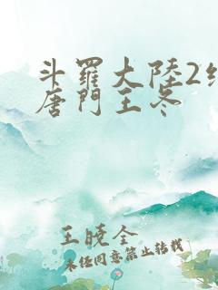 斗罗大陆2绝世唐门王冬