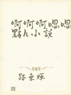 啊啊啊嗯嗯嗯轻点h小说
