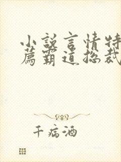 小说言情特色推荐霸道总裁