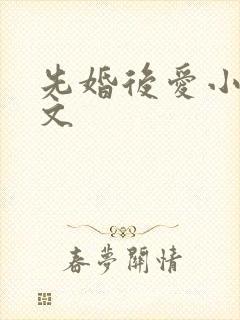先婚后爱小说甜文
