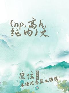 (np,高h,纯肉)文 (np,高h,纯肉)文