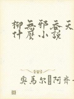柳无邪吞天神鼎什么小说 柳无邪吞天神鼎什么小说