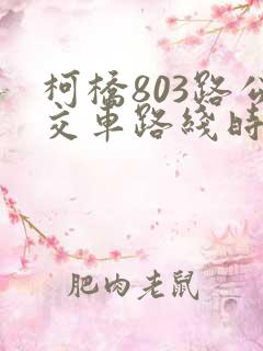 柯桥803路公交车路线时间表