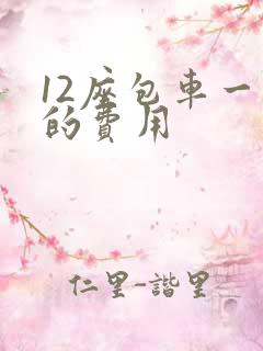 12座包车一天的费用