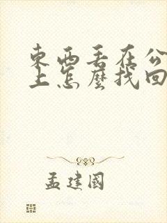 东西丢在公交车上怎么找回