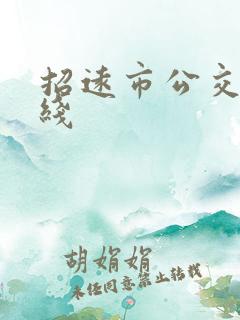 招远市公交车路线