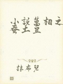 小说万相之王天蚕土豆