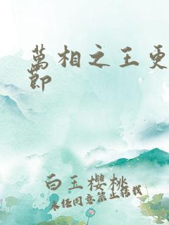 万相之王更新章节