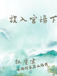 误入官场下载 误入官场下载