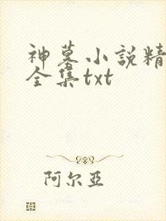 神墓小说精校版全集txt
