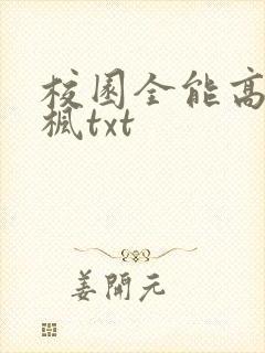 校园全能高手季枫txt