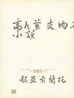 高h荤爽肉欲文小说
